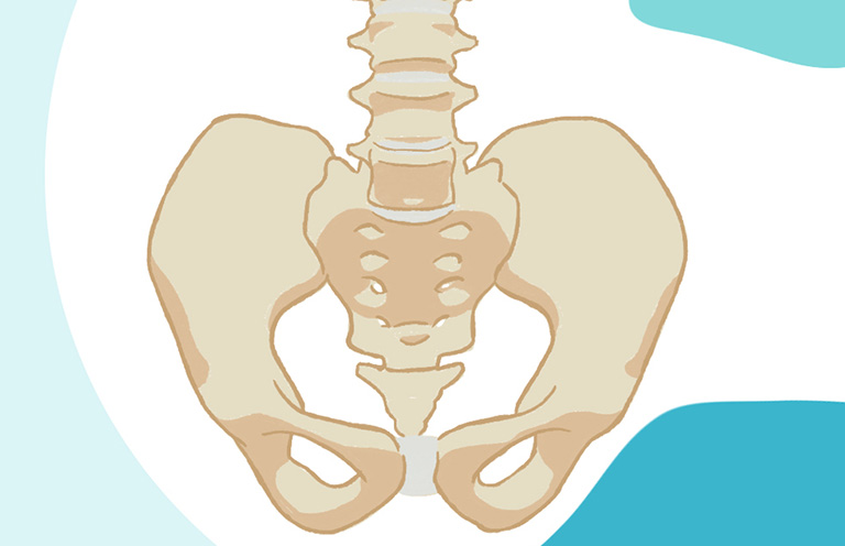 Khung xương chậu của nam giới cao, hẹp và gọn gàng