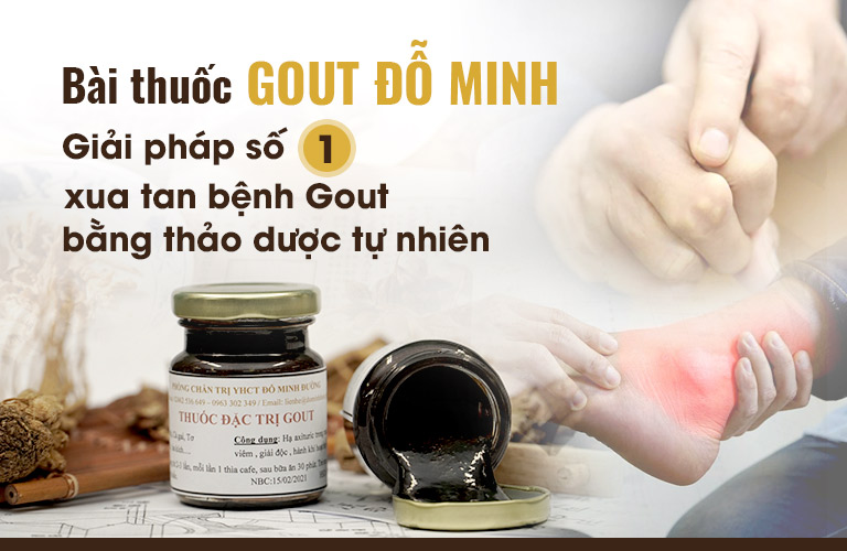 Gout Đỗ Minh - Giải pháp chữa dứt điểm bệnh gout từ thảo dược tự nhiên