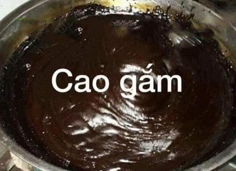 Cao gắm chữa gout
