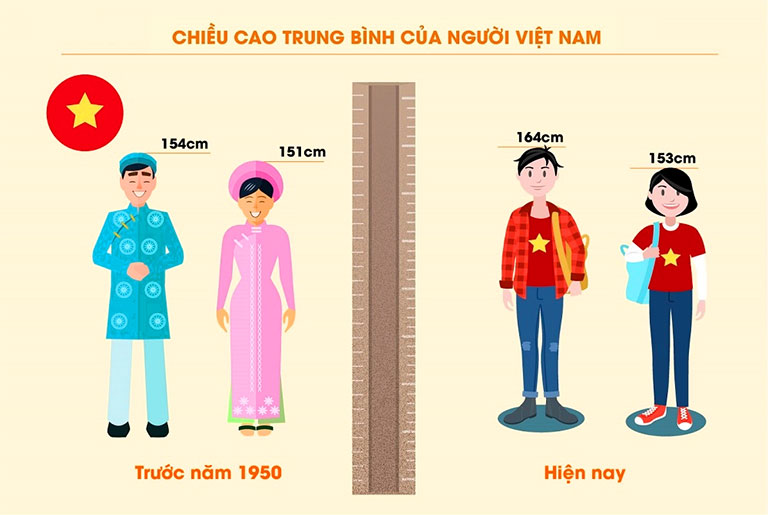  Chiều Cao Trung Bình Của Người Việt Nam Hiện Nay 2022