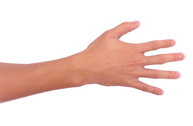 Cho phép bàn tay và các ngón tay duỗi thẳng để thực hiện các hoạt động